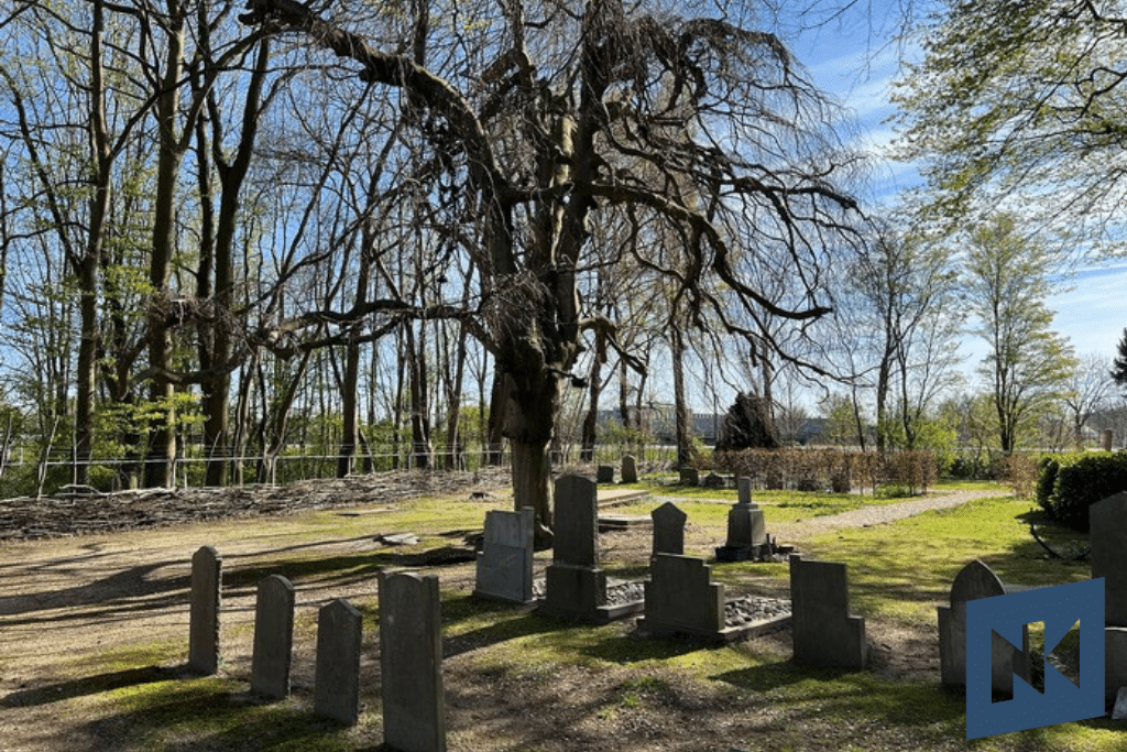Kerk & Kurk: Op zoek naar verloren graven